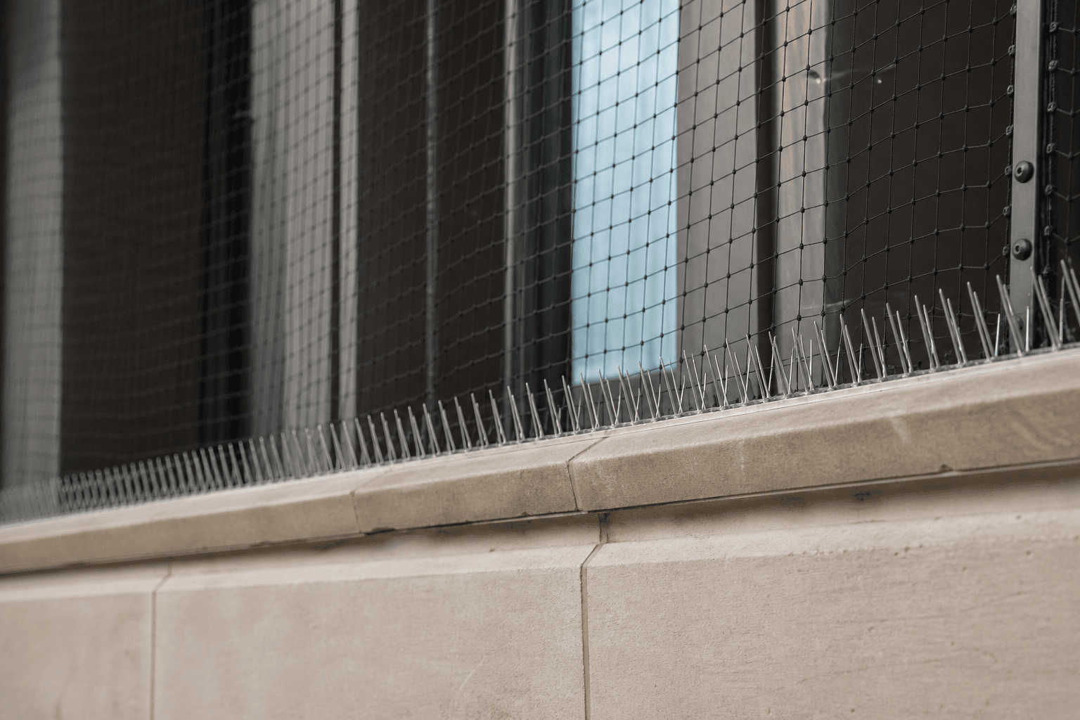 Professional bird netting installed on a building ledge
