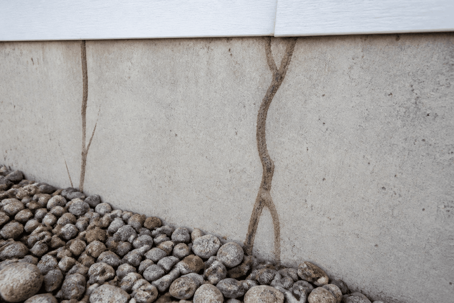 Termite mud tubes along a basement foundation wall