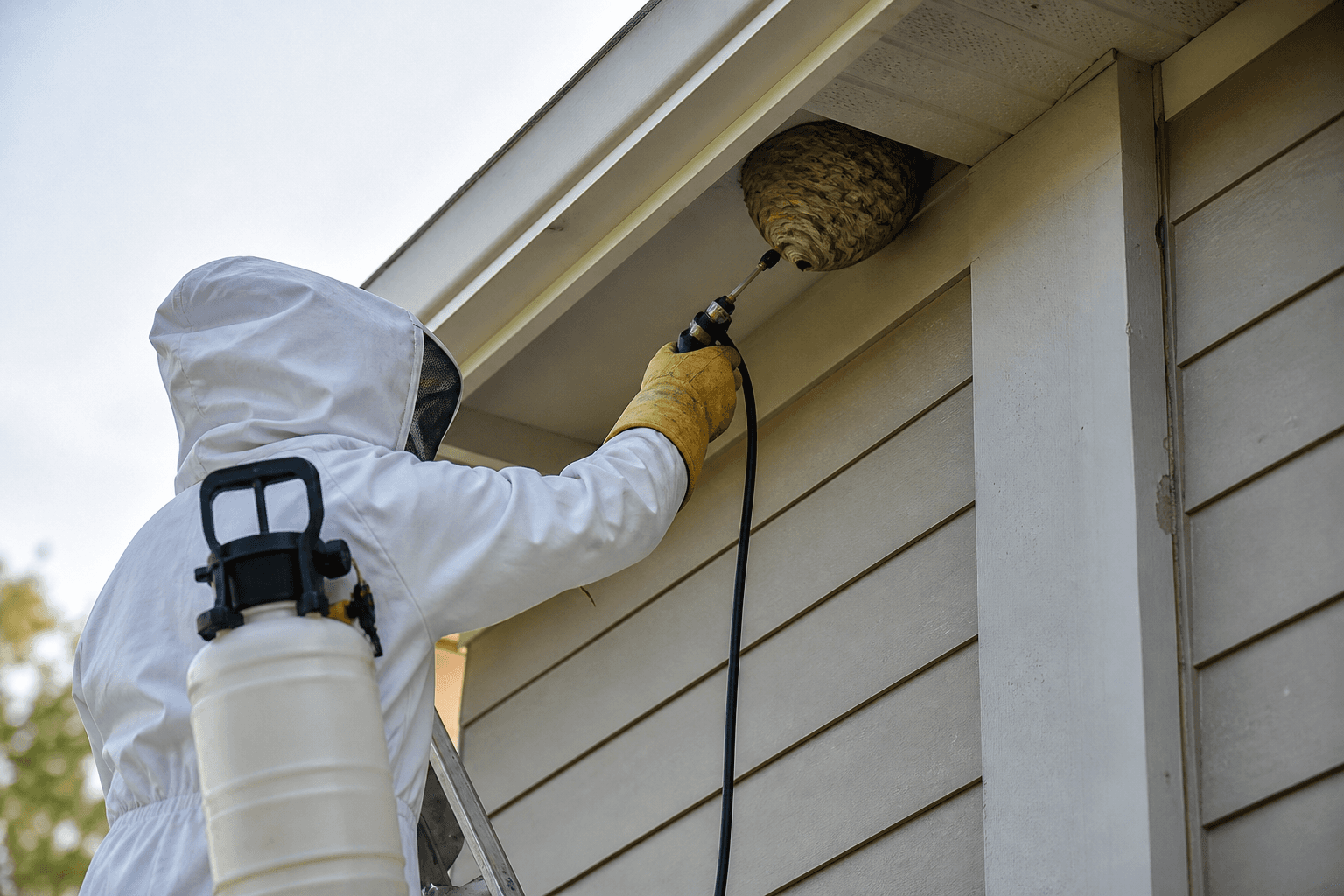 Technician safely treating a wasp nest under house eaves